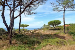 3 Villas - Praia da Falesia - Image 5