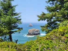 Lost boy beach Chalet. Oceanside, oregon - Image 5