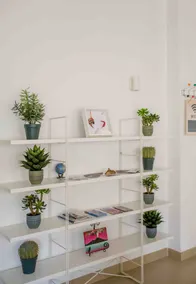 SOFIA'S HOME - Image 4