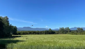 Secluded - Farmland and Mountain VIEW - King Suite - Image 3