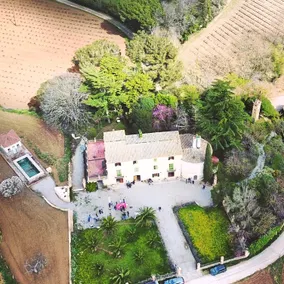 Historic nobleman house & pool in the vineyards - Image 5