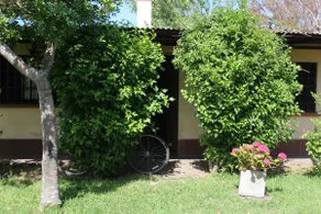 Casa Olas 1 - Image 4