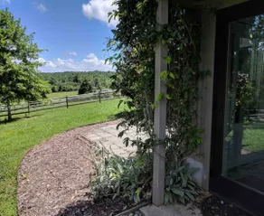 Maypop Farm Apartment in Mill Spring, NC - Image 3
