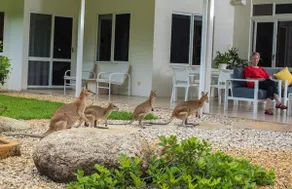 Luxury Home in Nature surrounded by Wallabies - Image 3