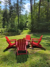 The Westerdale | Woodstock Retreat | Pet Friendly - Image 4
