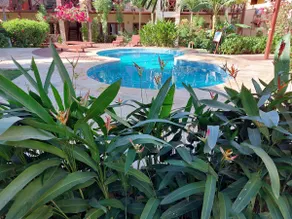BEAUTIFUL 56 SQ. M APARTMENT IN JERICOACOARA - Image 3