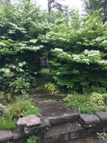 The Carriage House: Garden Apartment - Image 4