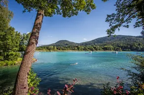Apartment Oasis Wörthersee neu & zentral Top 4 - Image 2