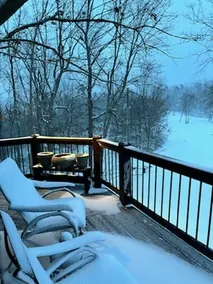 Secluded cabin 365° views  pet friendly fire pits #1 place to enjoy fall foliage - Image 4