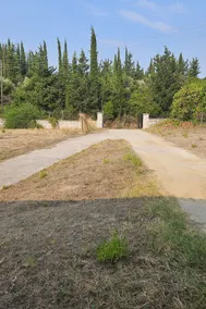 Olive grove with a view - Image 5