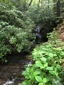 Riverside Mountain Getaway - Image 2