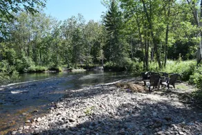 Chalet au cœur de la foret St-Prime - Image 4