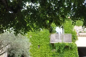 Gîte de Jade - Image 3