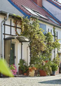 Vacation rental on a horse farm in the Dübener Heide - Image 2