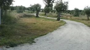 Quinta da Queimada - Image 5