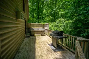 New Hot tub, Cabin, Wifi, Dog, Firepit Walk2Town - Image 4