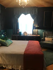 Peacock Room Jungle Lounge - Image 3