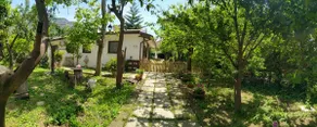 Villino L'Aranceto Sorrentino - Image 3