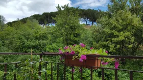”La Campagnola” and experience your vacation in freedom - Image 2