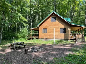 CABIN IN THE WOODS NESTLED ON 15 WOODED ACRES. - Image 3