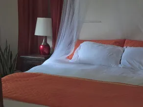 ScottGullyEcoLodge/King Bed/Private/CozyHub - Image 5