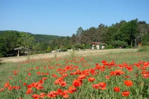 Gite des Grands Chemins bas - Image 2