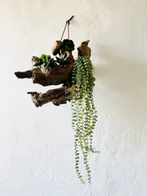 Regina's house - Image 5