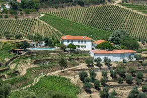 Stunning Boutique Vineyard Stay with Pool - Image 2