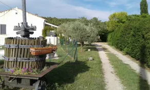 Stehendes Haus im privaten Luft umzäunten Hof-Pool Provence - Image 5