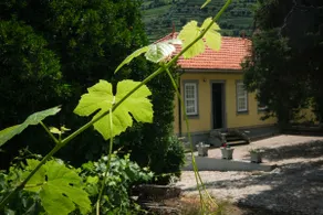 Casa de São Roque - Lamego - Image 2
