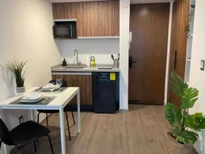 Loft with garden 10 minutes from downtown Coyoacán - Image 3