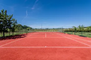 Stunning house set in vines; pool and tennis court - Image 3