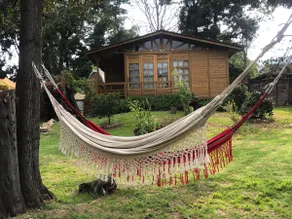 A nice cabin with a garden. - Image 4