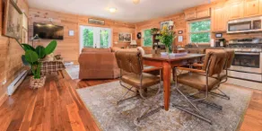 Spring Escape - Cozy Cabin + Hot Tub near Parkway - Image 4