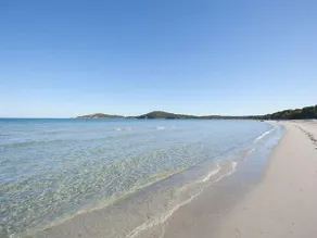 Maquis beach heated pool, sandy beach 900 m - Image 2