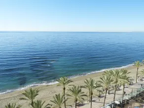 Studio Palm Beach - Image 3