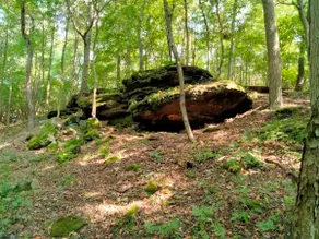 ”Hideaway Cabin” that sits on 10 secluded acres. - Image 2