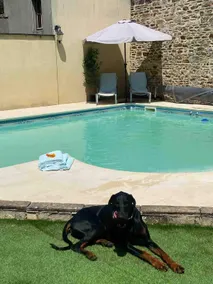 Townhouse heated pool sleep 12 Bussiere Poitevine - Image 2