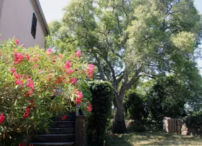 Robinson House, Garica, Krk - Image 3