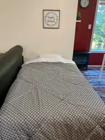 Modern, Spacious, and Private 1BR Suite - Image 4