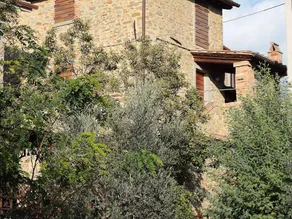 The small tower - Image 2