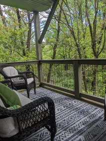 Wooded Studio & Deck-Close to Biltmore & Breweries - Image 4