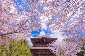 The Kamakura＋Living - Image 2