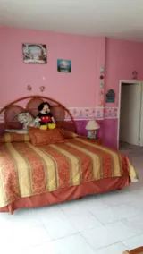 Cottage in the heart of Yautepec - Image 3