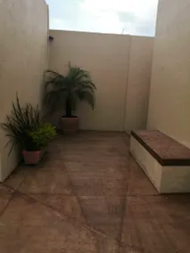 Beautiful suite in Cuernavaca near downtown - Image 5
