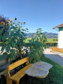 Kronbichler Vacation Rental - Image 2