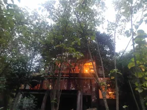 A birdhouse in the Passiflora mountains - Image 2