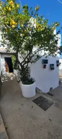 La Solana, tu rincón en la Serranía de Ronda - Image 3