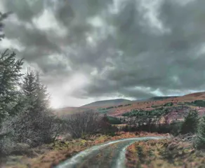 Corlae Cottage, mountain and forest views - Image 4