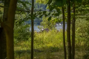Lakehound Lodge - lake view, pet friendly - Image 5